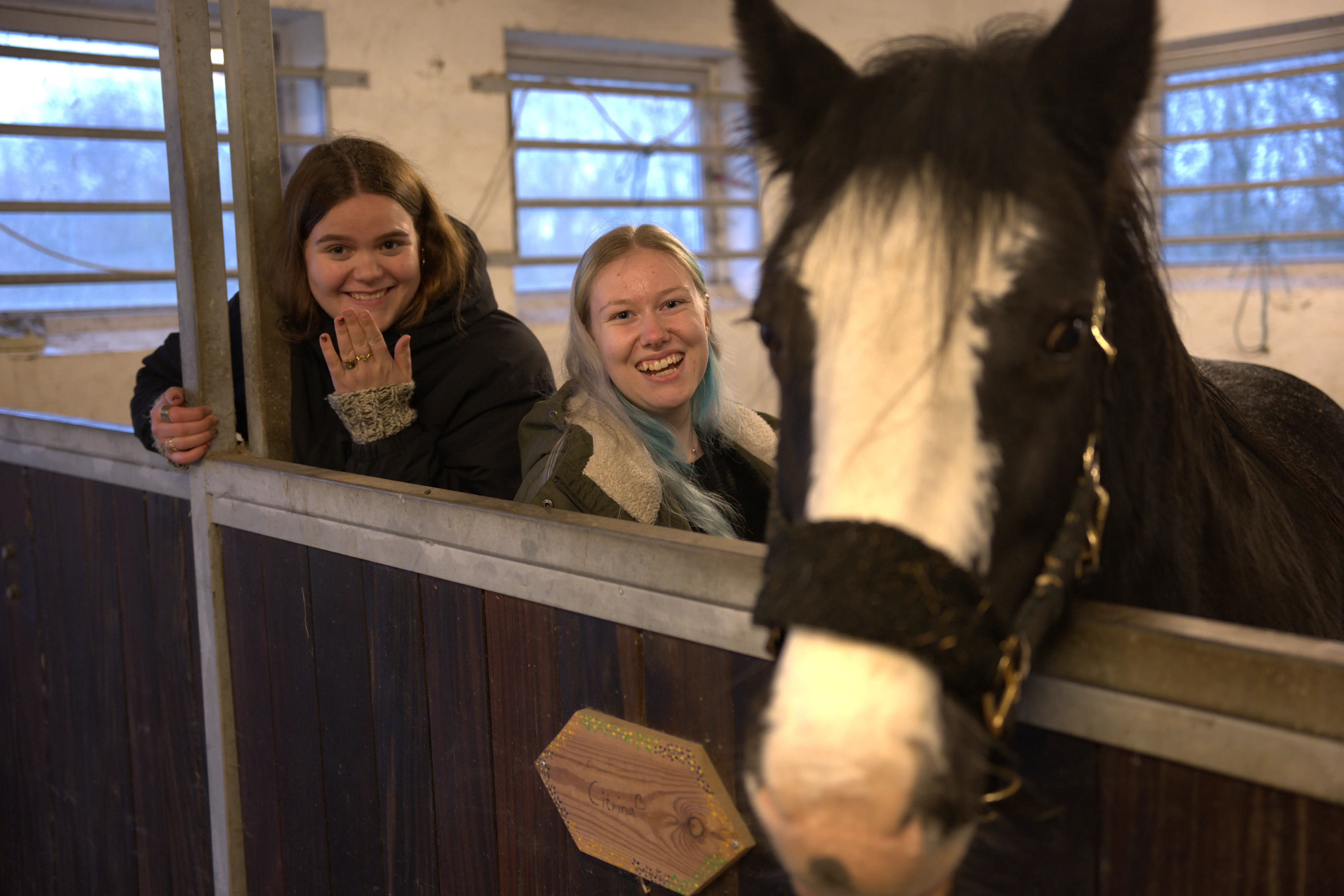 Billede af 2 piger ved siden af en pony